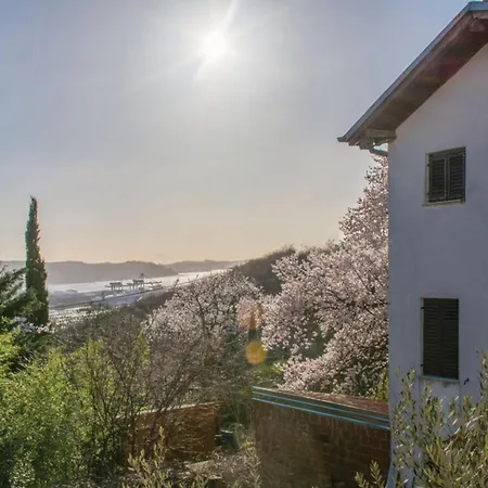 House In The Vineyard - Happy Apartment *