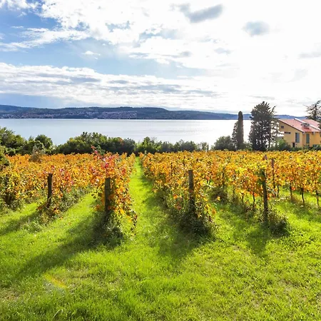 House In The Vineyard - Happy Apartamento Ankaran