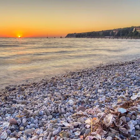 House In The Vineyard - Happy
