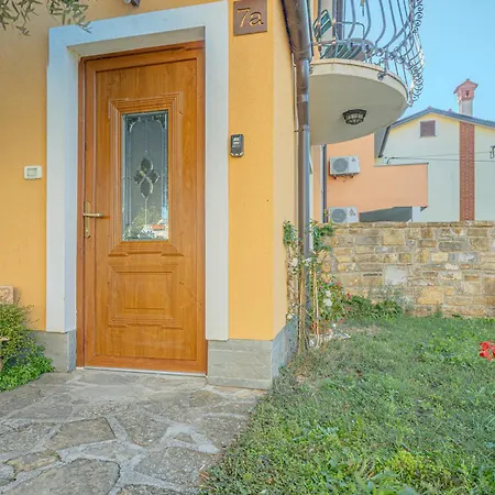 House In The Vineyard - Happy