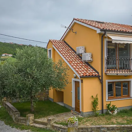 House In The Vineyard - Happy *