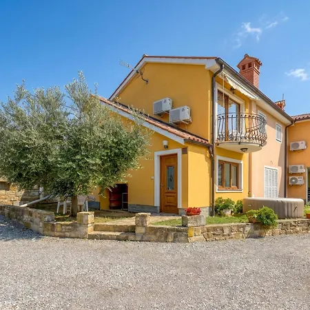 House In The Vineyards - Happy * أنكاران