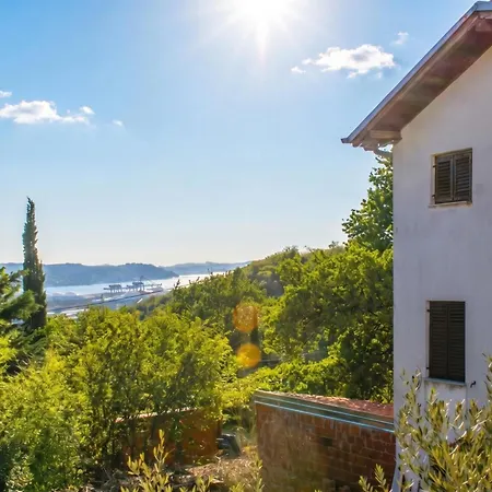 House In The Vineyards - Happy