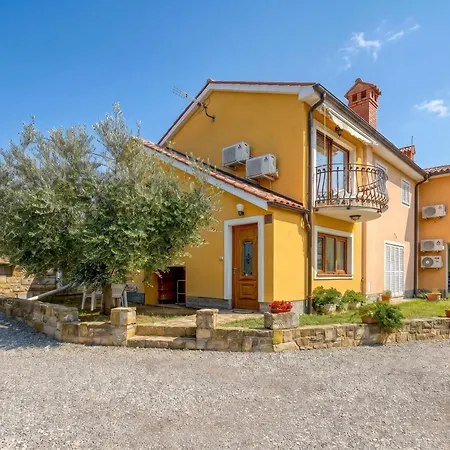 House In The Vineyards - Happy * أنكاران