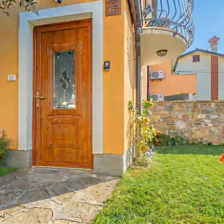 House In The Vineyards - Happy