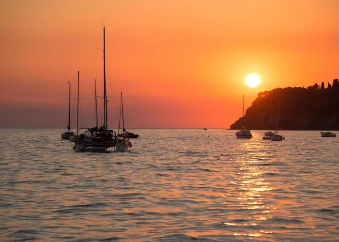 House In The Vineyard - Happy * أنكاران