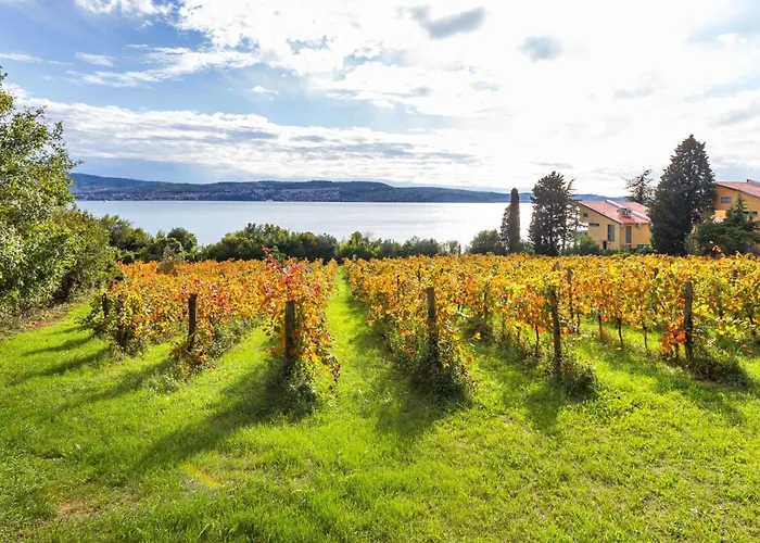 House In The Vineyard - Happy شقة أنكاران