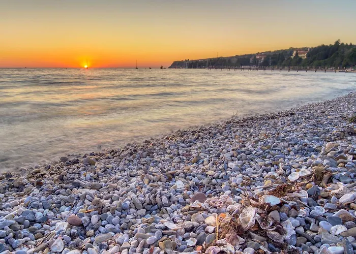 House In The Vineyard - Happy