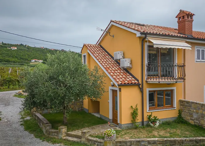 House In The Vineyard - Happy أنكاران