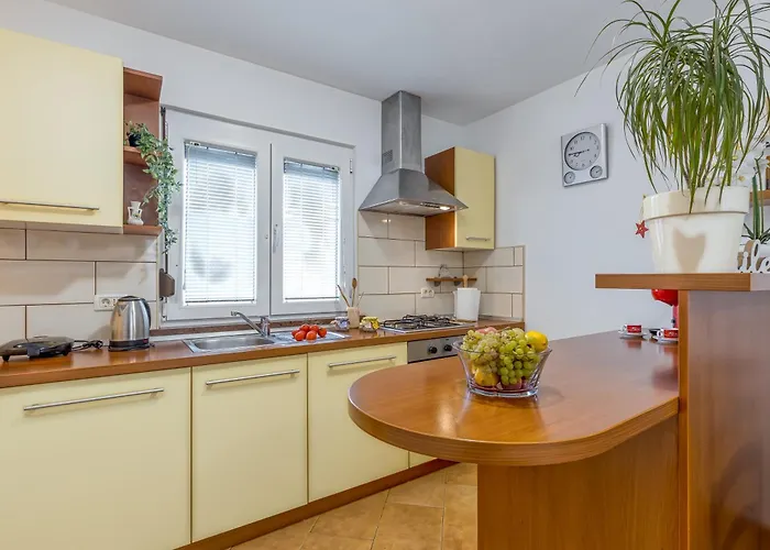 House In The Vineyard - Happy