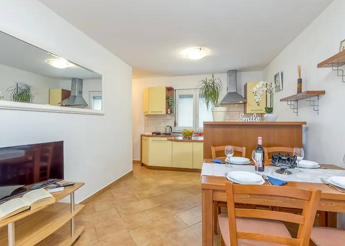 House In The Vineyard - Happy أنكاران