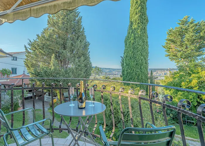 House In The Vineyard - Happy *